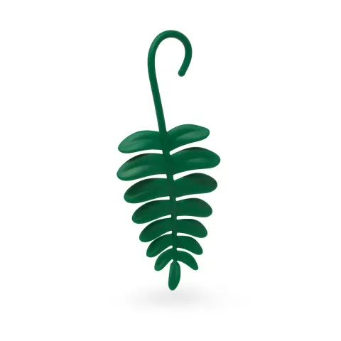 Fern Green