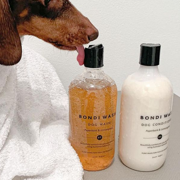 BONDI WASH NEGA ZA PSE
